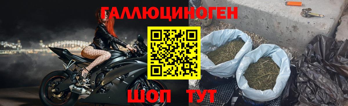 Галлюциногенные грибы Cubensis  Вход с VPN  купить   Лыткарино 