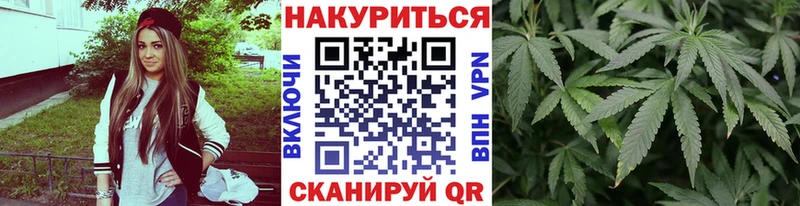 цены   Лыткарино  Шишки марихуана VHQ 